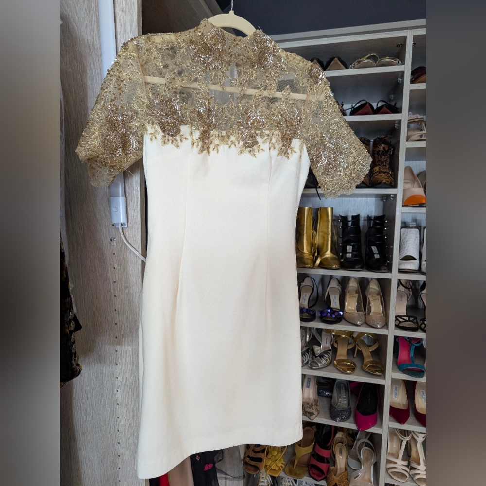 Embroidered White and Gold Lace Dress